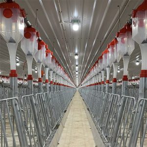 Sistema di alimentazione automatico a catena a dischi per suini