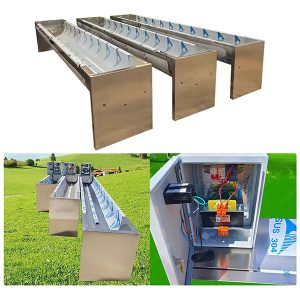 abbeveratoio elettrico riscaldato in acciaio inox per bovini