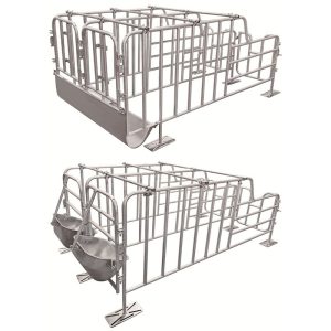 gabbia di gestazione per scrofe